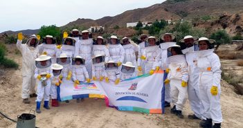 actividad de apicultura