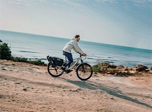 Bicicleta eléctrica