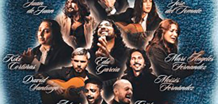 Festival Flamenco por la Igualdad y el Respeto