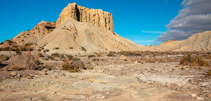 Tabernas desert