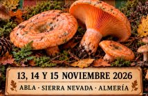 XXI JORNADAS MICOLÓGICAS ABULENSES